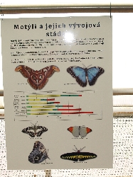 Panel I