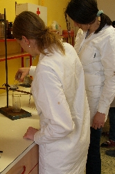 Chemie - kvinta
